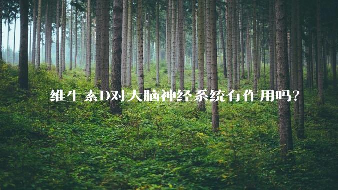 维生素D对大脑神经系统有作用吗？