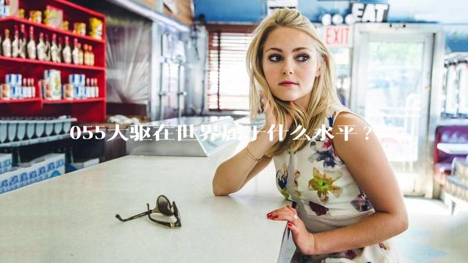 055大驱在世界属于什么水平?