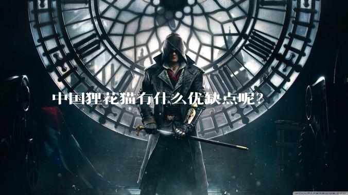 中国狸花猫有什么优缺点呢？