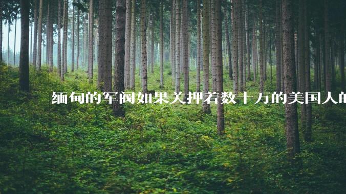 缅甸的军阀如果关押着数十万的美国人的话，美国会怎么做？