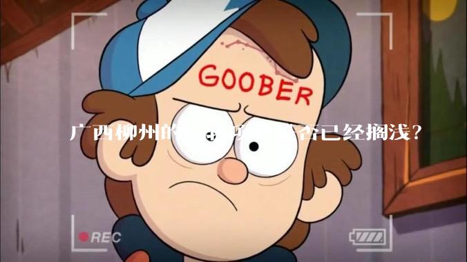 广西柳州的轻轨项目是否已经搁浅？