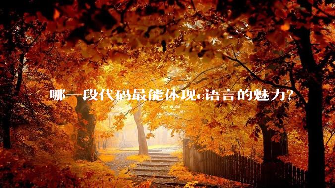 哪一段代码最能体现c语言的魅力？