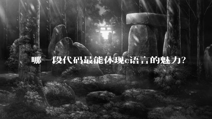 哪一段代码最能体现c语言的魅力？