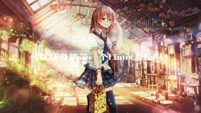 可以随身携带一个Linux系统吗？