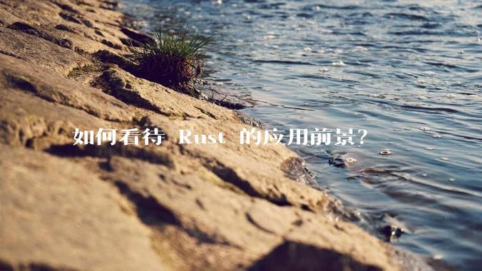 如何看待 Rust 的应用前景？