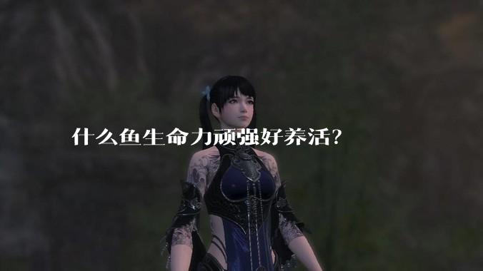 什么鱼生命力顽强好养活？