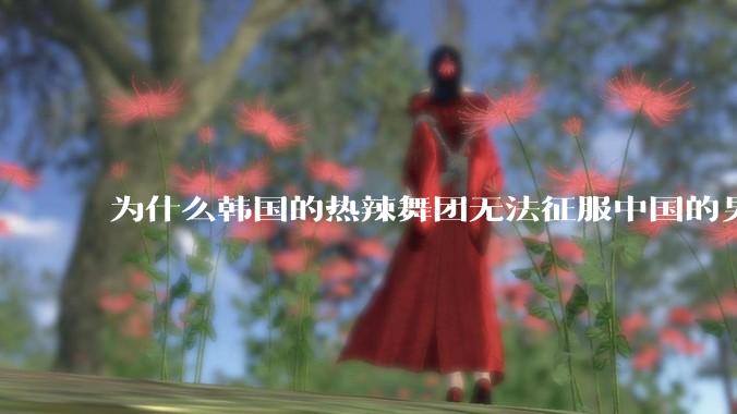 为什么韩国的热辣舞团无法征服中国的男性市场？？