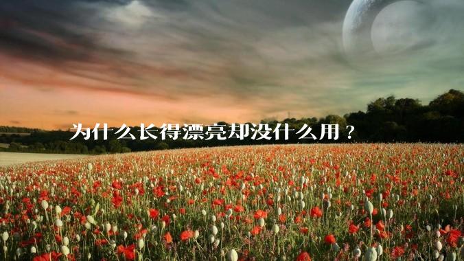 为什么长得漂亮却没什么用?
