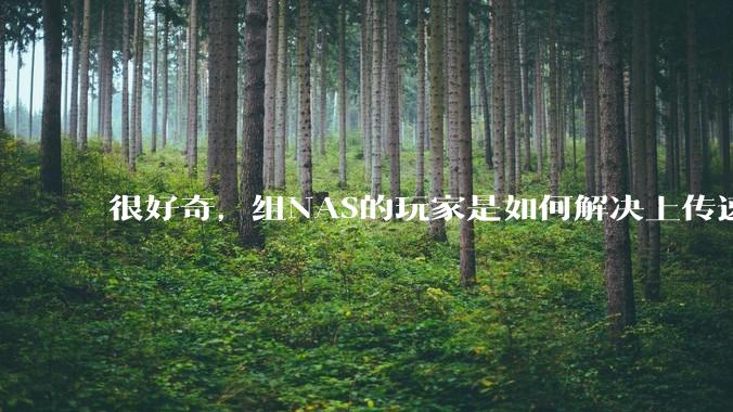 很好奇，组NAS的玩家是如何解决上传速率的问题?