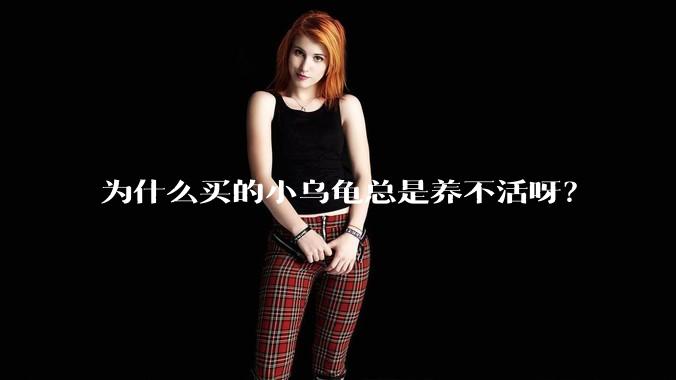 为什么买的小乌龟总是养不活呀？
