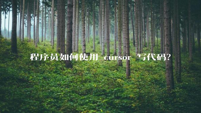 程序员如何使用 cursor 写代码？